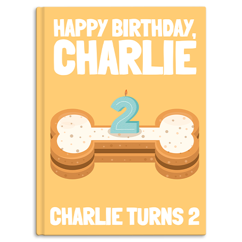 Birthday - 2 Years Old