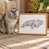 Sleeping Sketch Pet Portrait