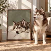 Sleeping Pet Portrait