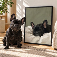 Sleeping Pet Portrait