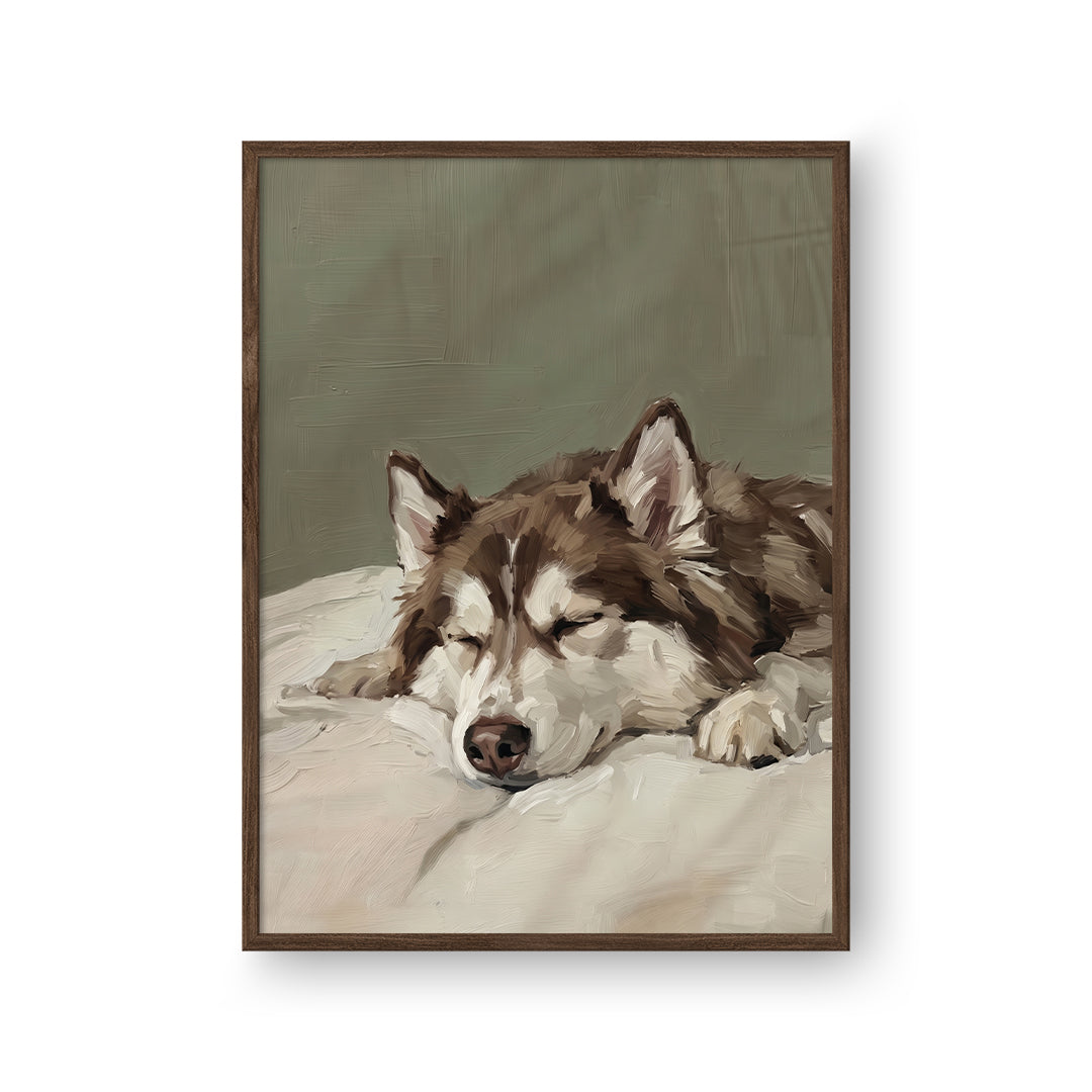 Sleeping Pet Portrait