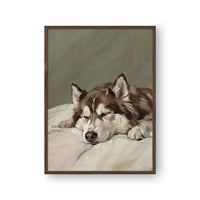 Sleeping Pet Portrait