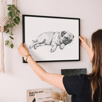 Sleeping Sketch Pet Portrait