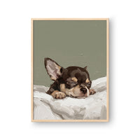 Sleeping Pet Portrait