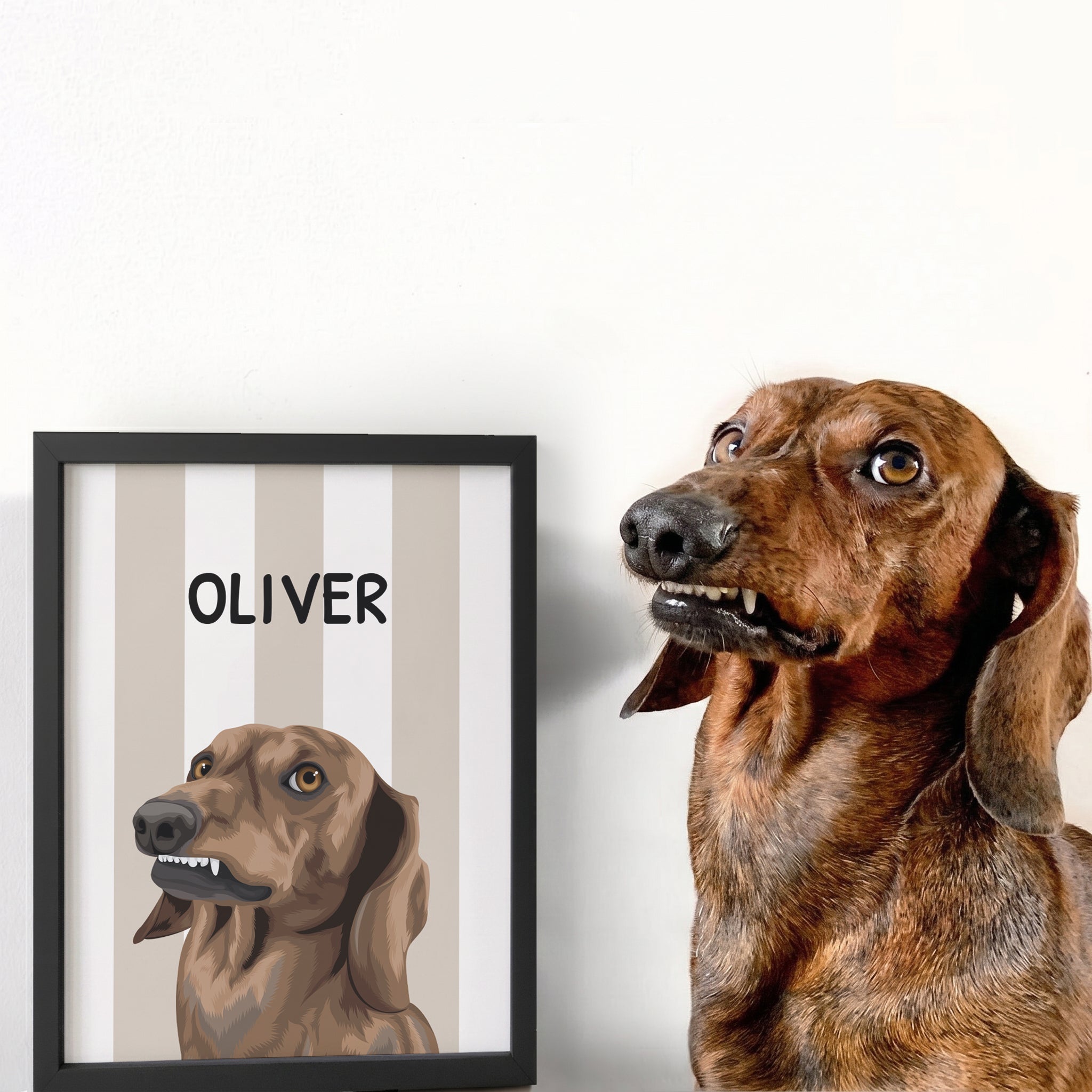 Striped Candy Pet Portrait