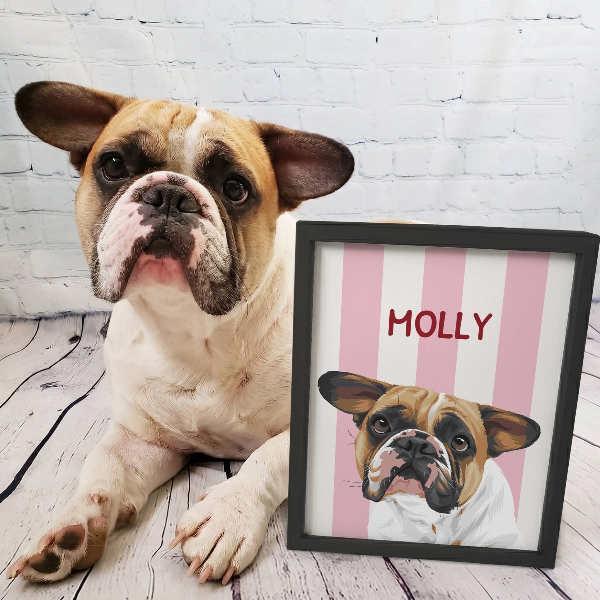 Striped Candy Pet Portrait