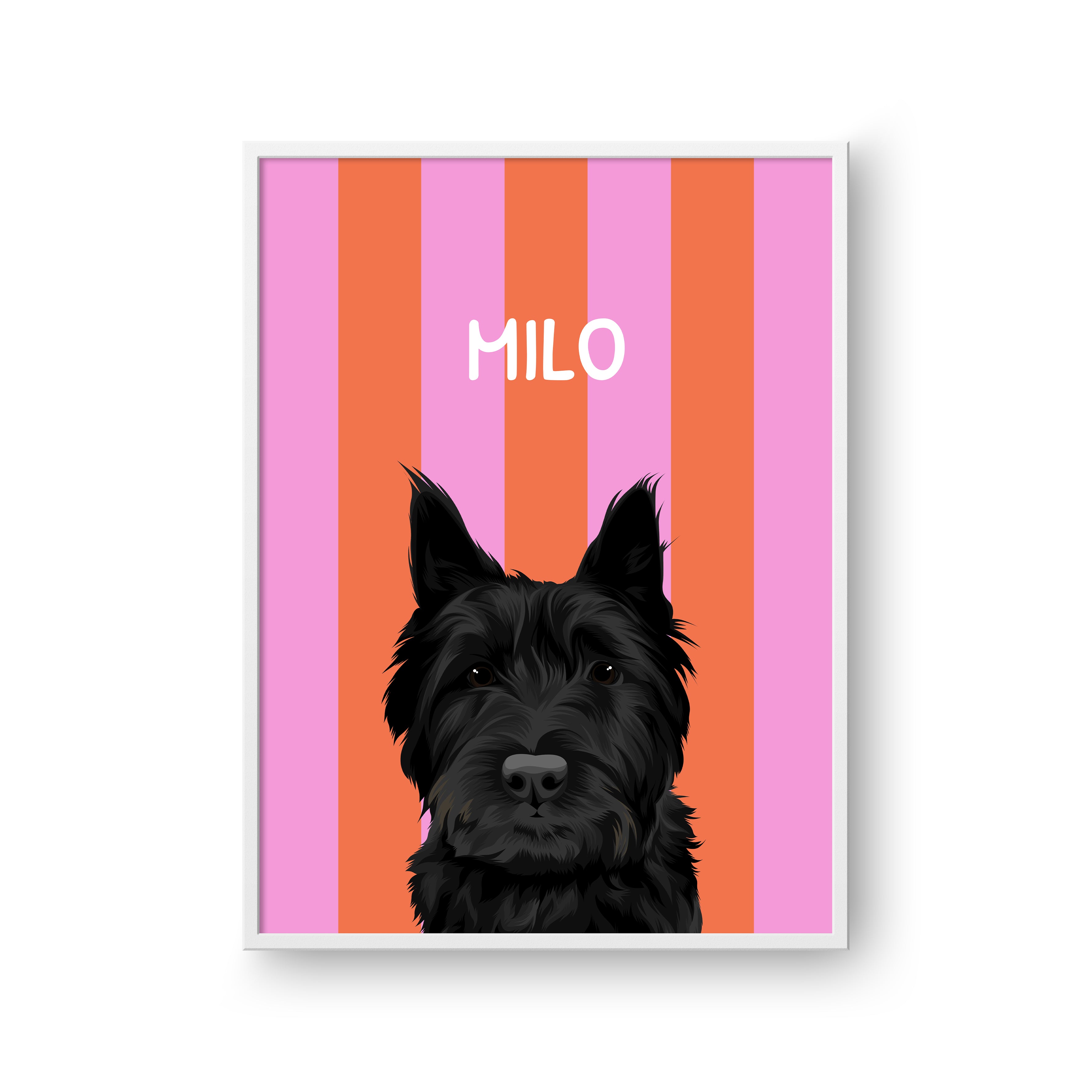 Striped Candy Pet Portrait