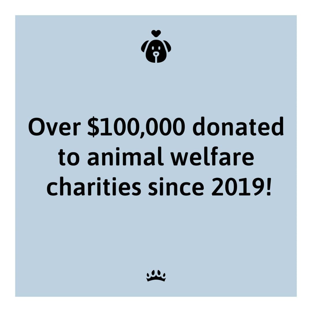 Crown and Paw - Canvas Spa Day Pet Portrait - Custom Pet Art