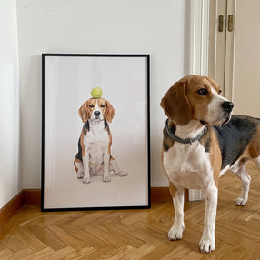Tennis Ball Pet Portrait