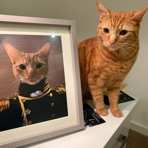 Crown and Paw - Poster The Admiral - Custom Pet Poster