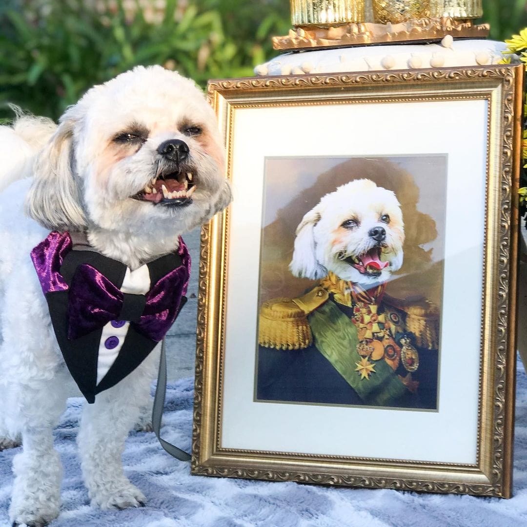 Crown and Paw - Poster The Colonel - Custom Pet Poster