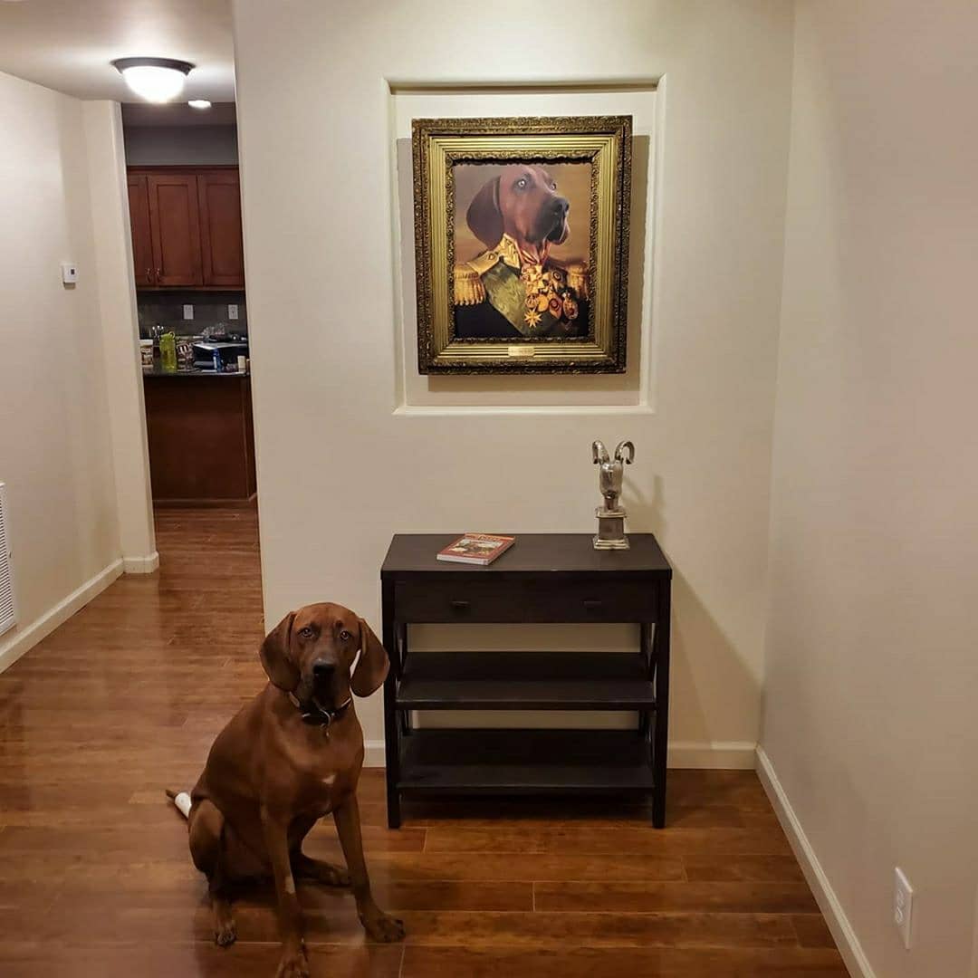 Crown and Paw - Poster The Colonel - Custom Pet Poster