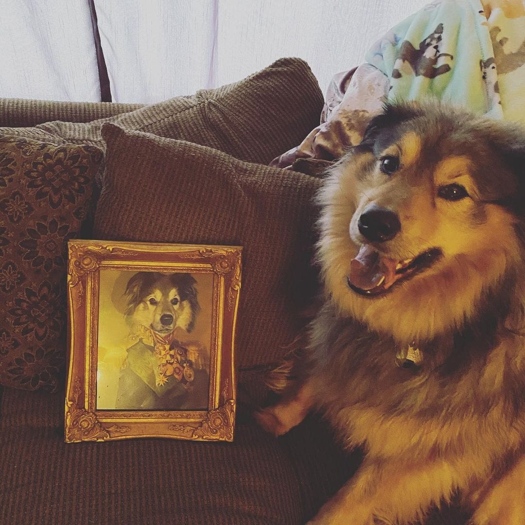 Crown and Paw - Poster The Colonel - Custom Pet Poster