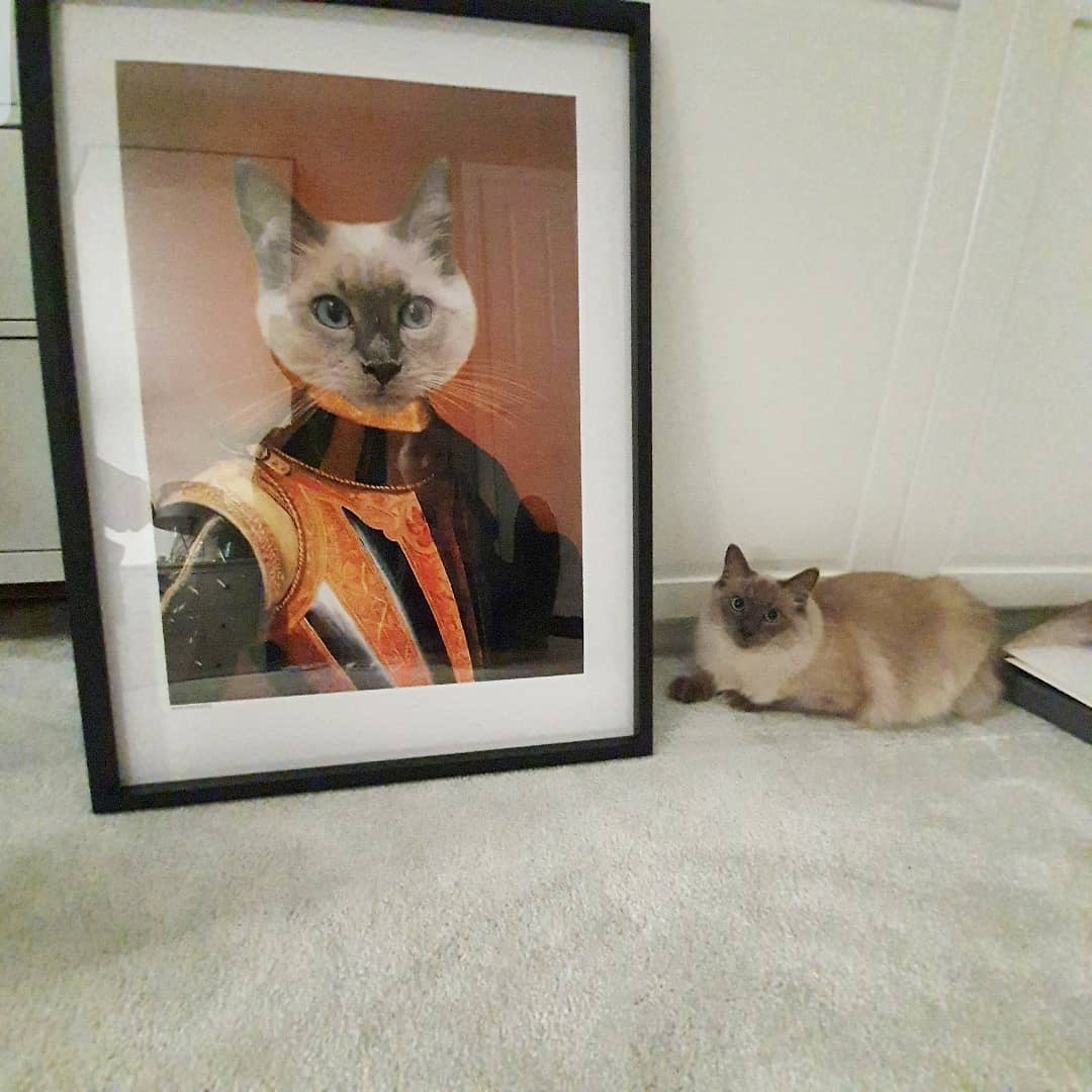 Crown and Paw - Poster The Knight - Custom Pet Poster