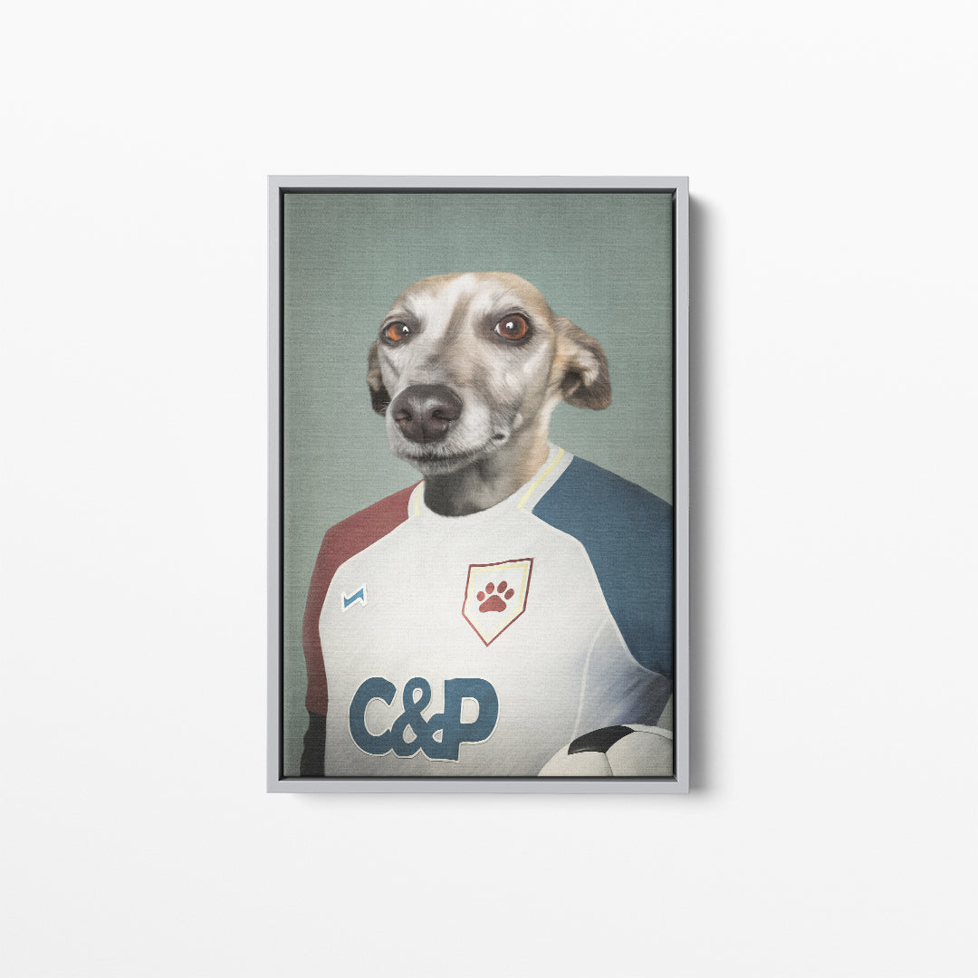 The Soccer Player - Custom Pet Canvas