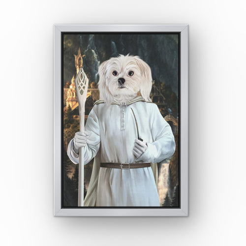 The Sorcerer (Background 3) custom pet canvas in a silver floating frame