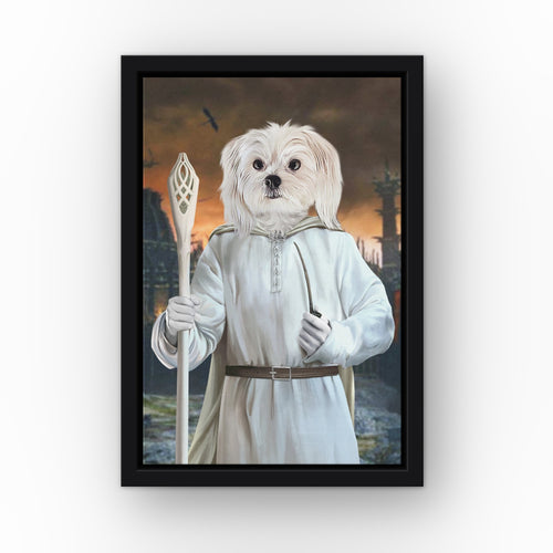 The Sorcerer (Background 4) custom pet canvas in a black floating frame