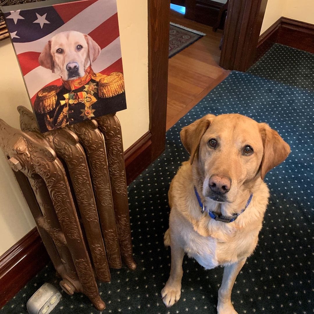 Crown and Paw - Canvas The Veteran - USA Flag Edition - Custom Pet Canvas