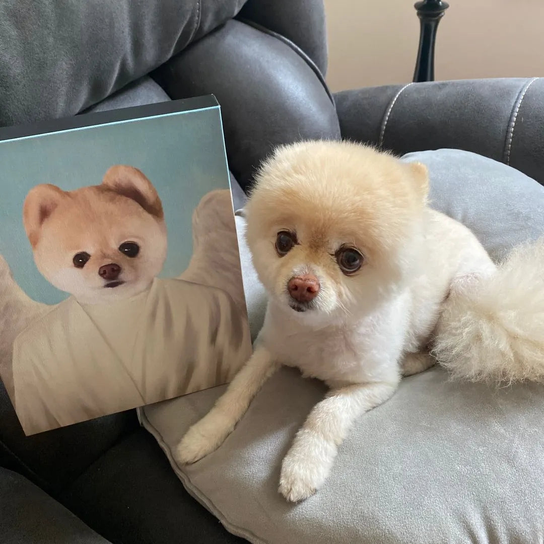 The Angel - Custom Pet Canvas