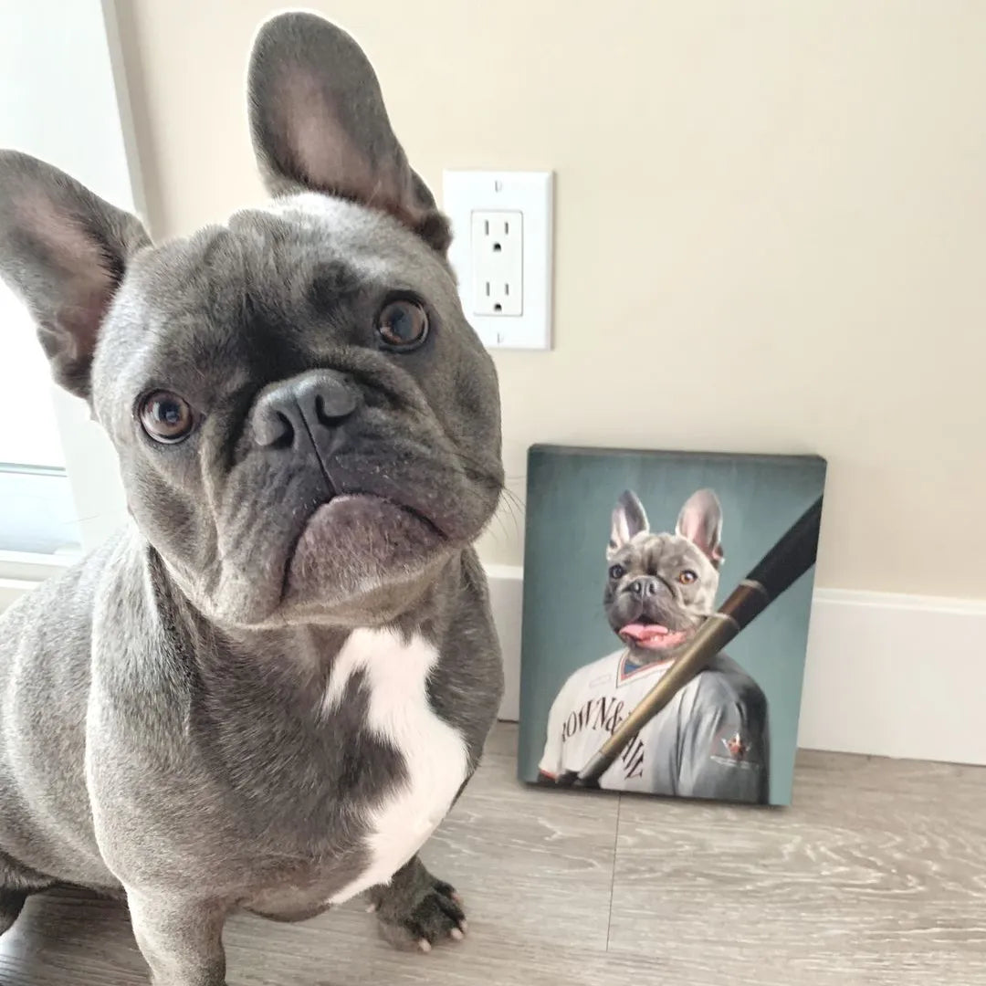 The Baseball Player - Custom Pet Canvas
