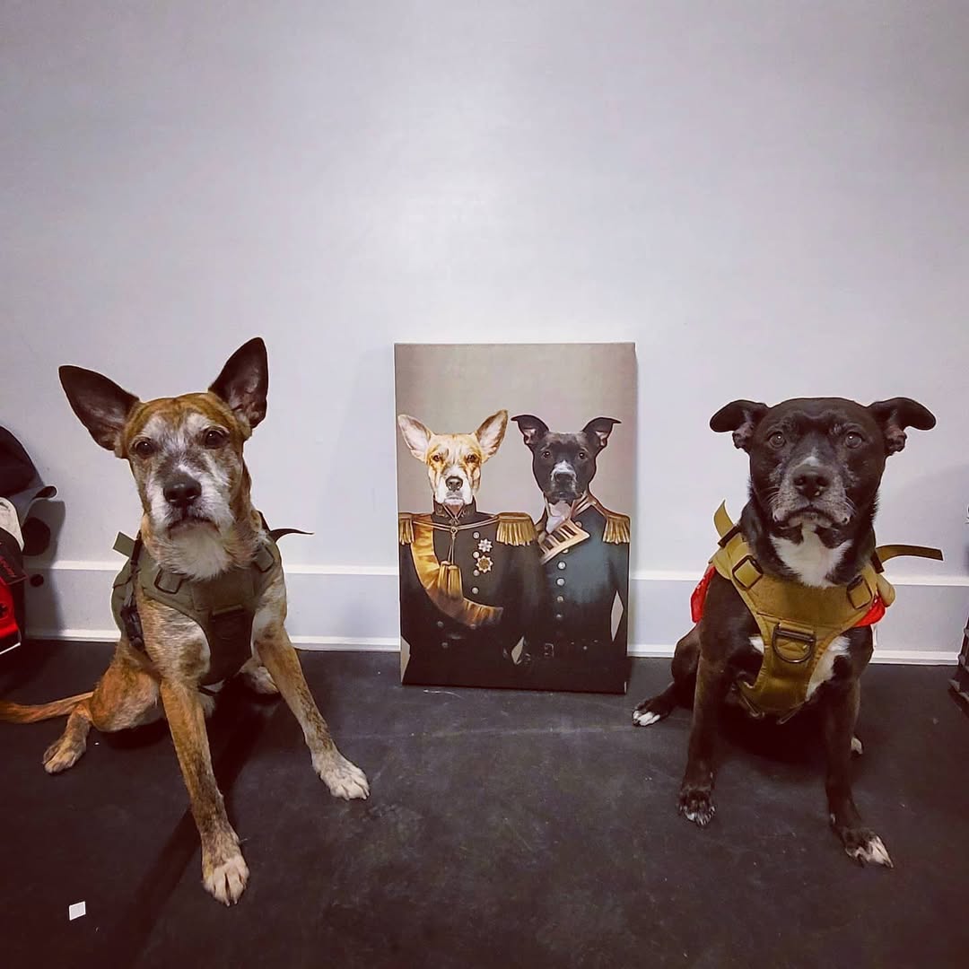 The Brothers In Arms - Custom Pet Canvas