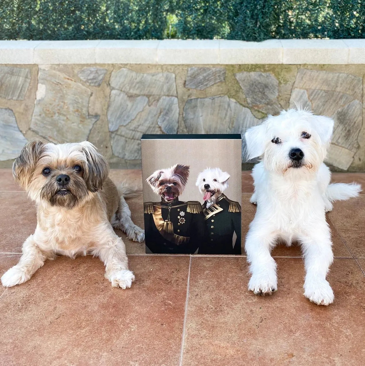 The Brothers In Arms - Custom Pet Canvas
