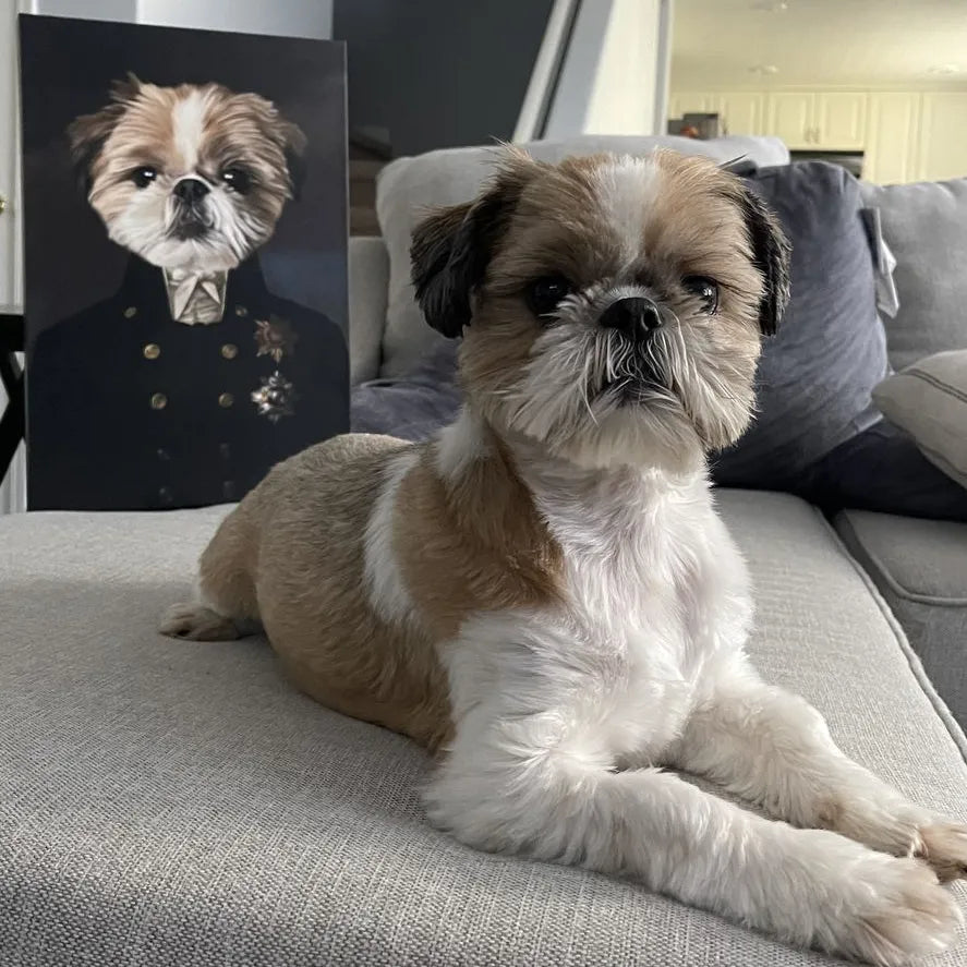 The Captain - Custom Pet Canvas