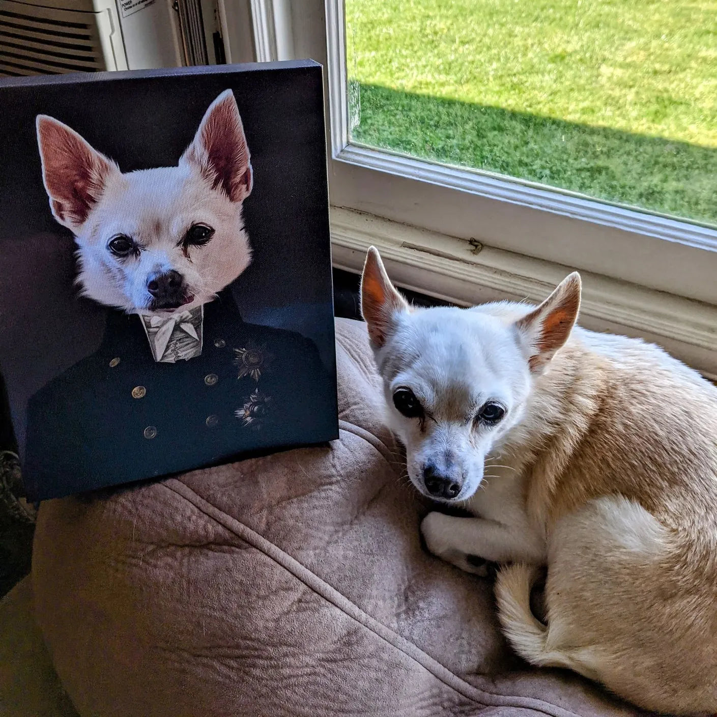 The Captain - Custom Pet Canvas