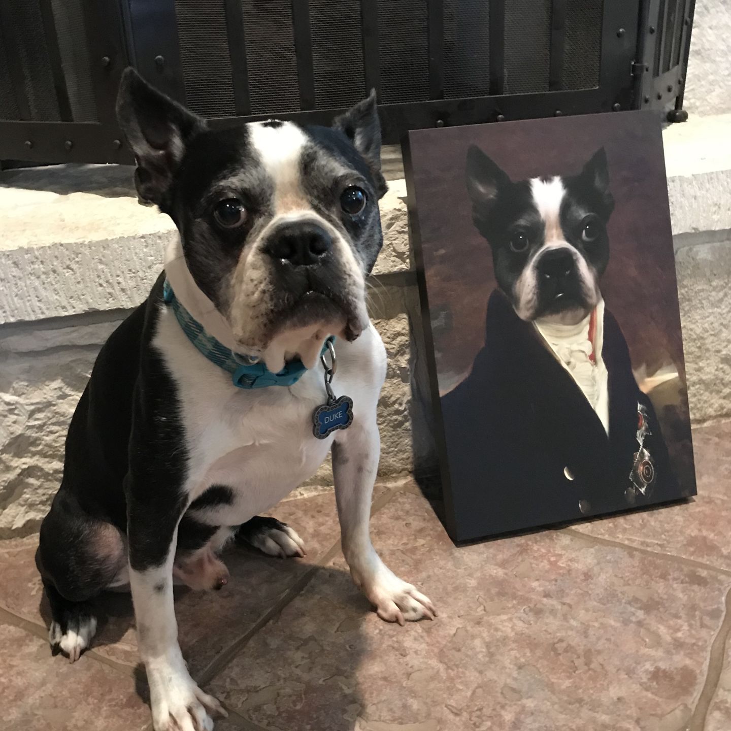 The Count - Custom Pet Canvas