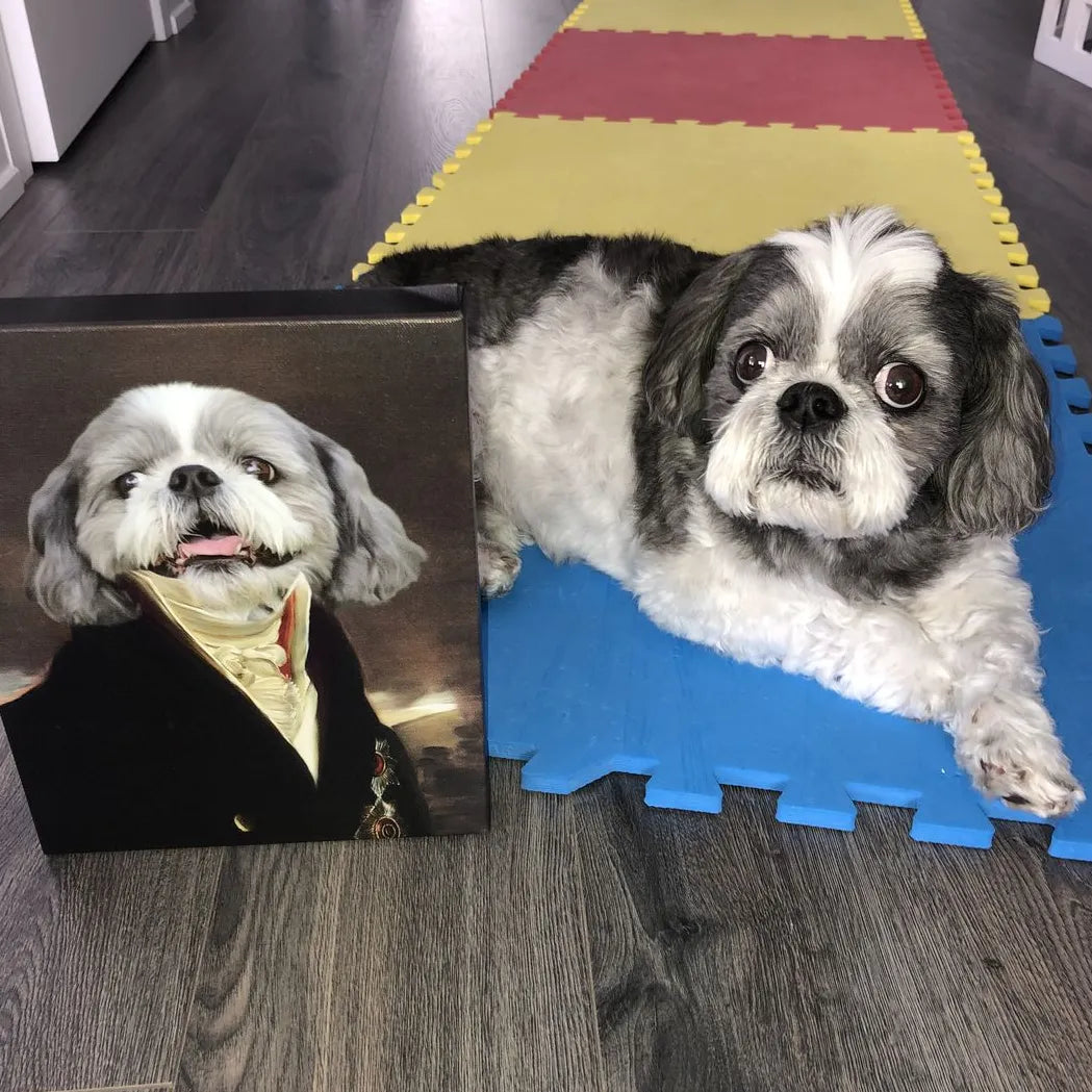The Count - Custom Pet Canvas