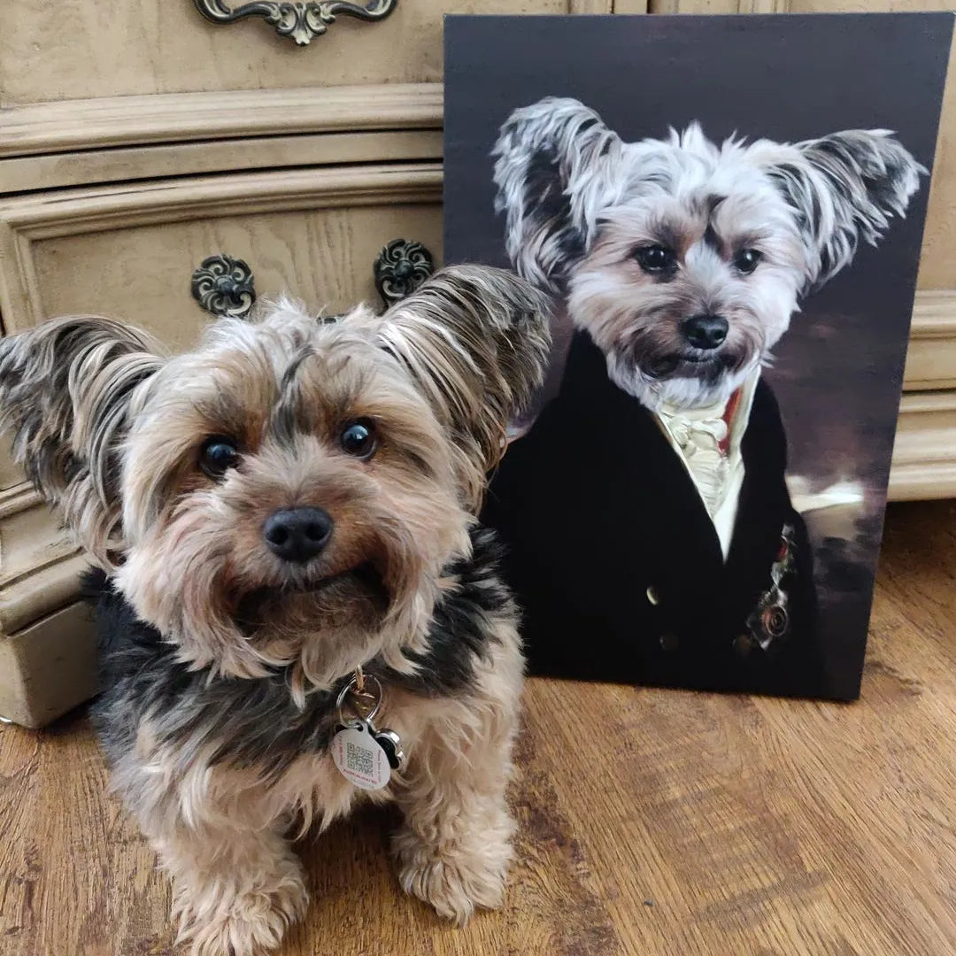 The Count - Custom Pet Canvas