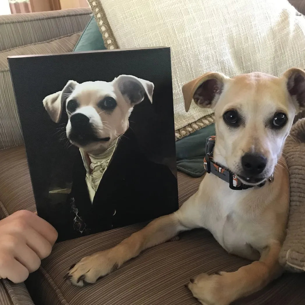 The Count - Custom Pet Canvas