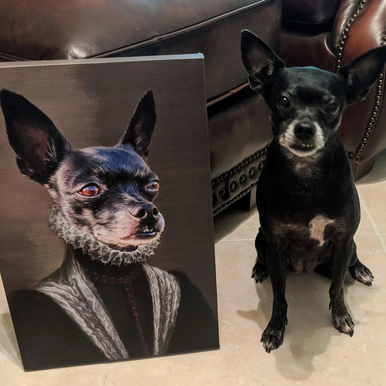 The Countess - Custom Pet Canvas
