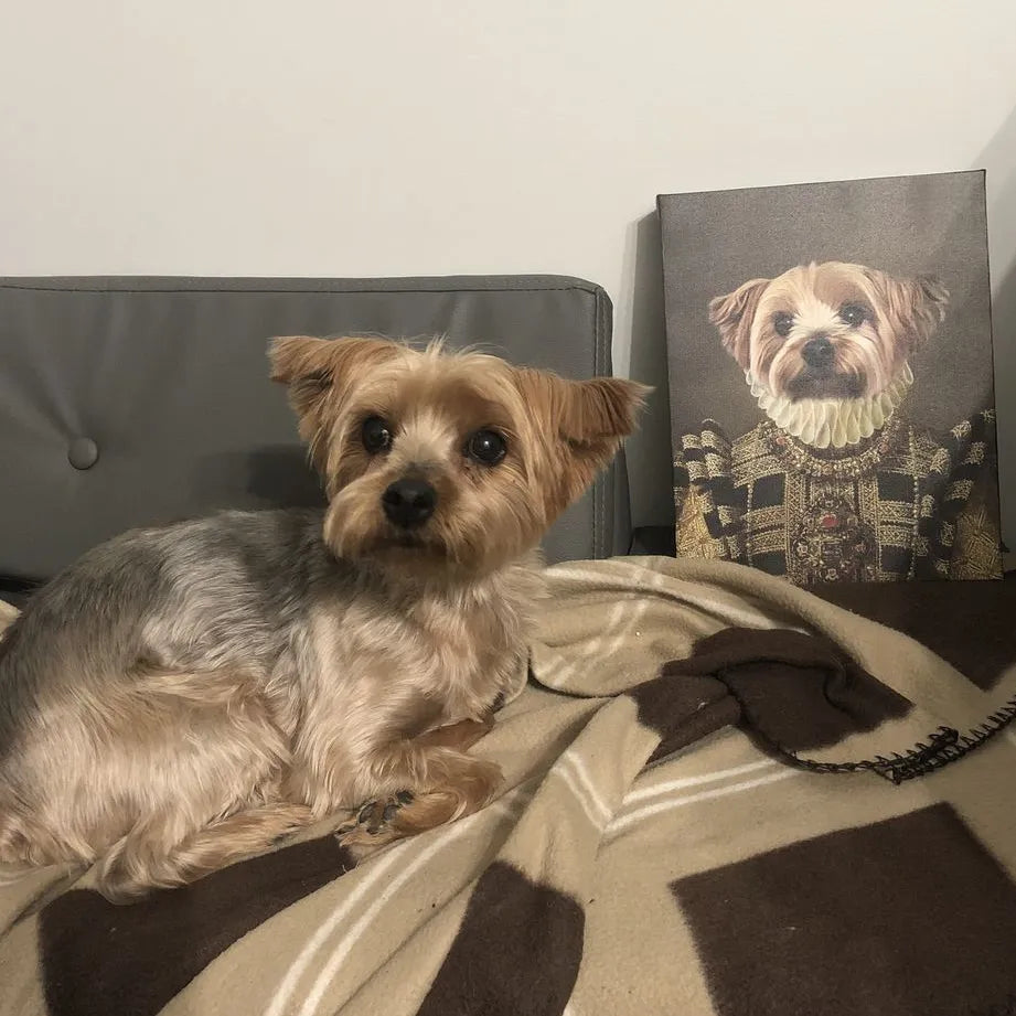 The Dame - Custom Pet Canvas