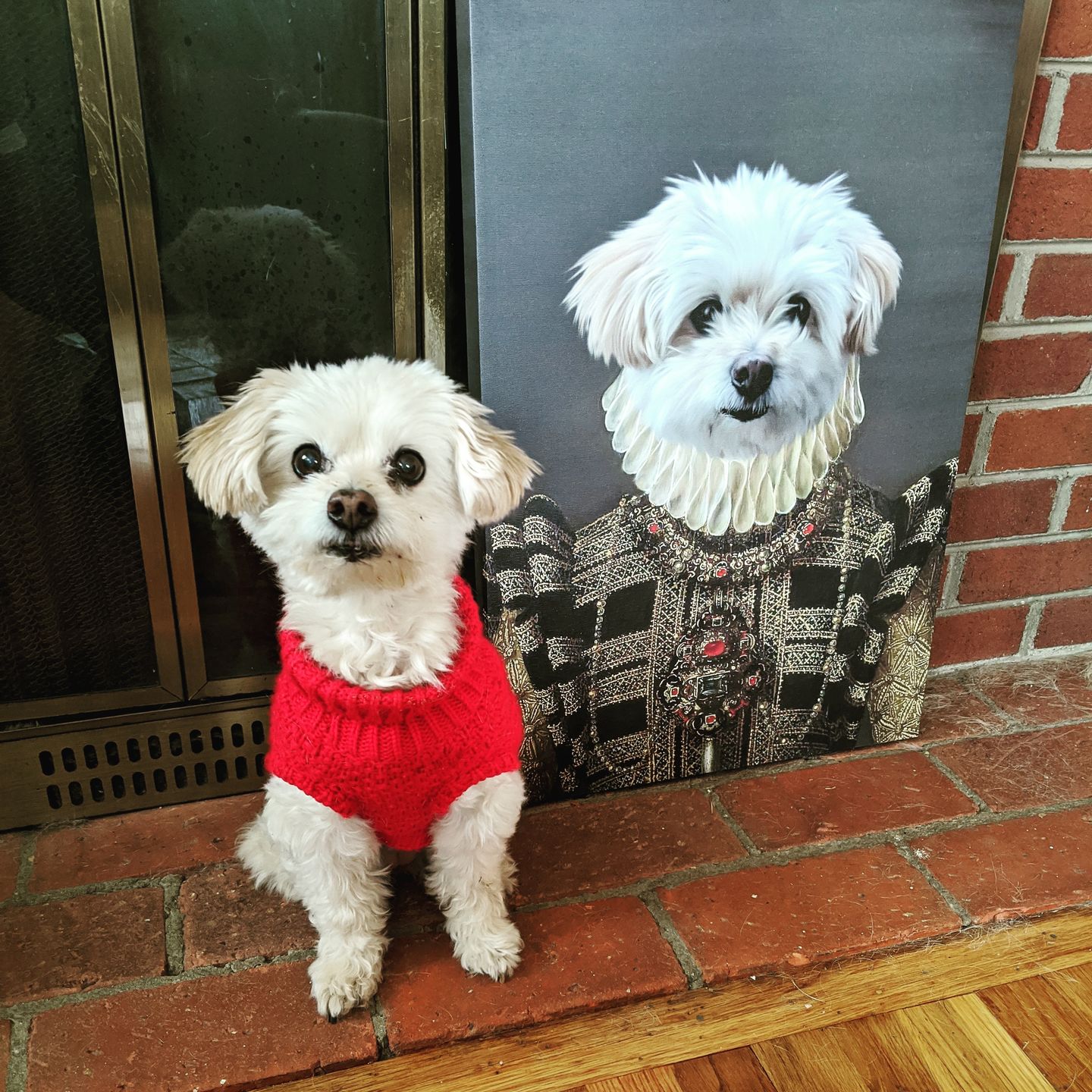 The Dame - Custom Pet Canvas