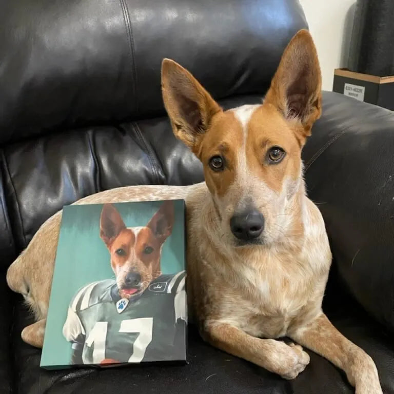 The Football Player - Custom Pet Canvas