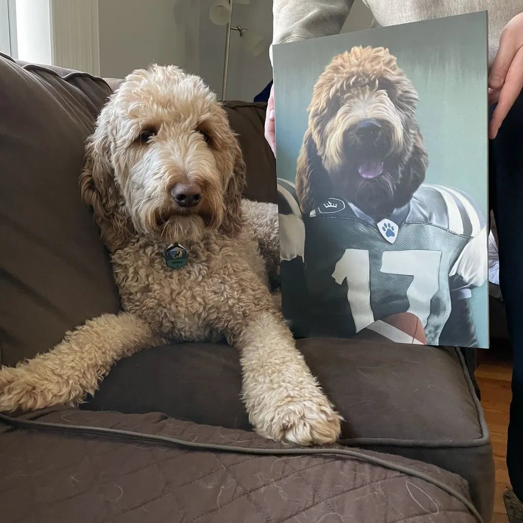The Football Player - Custom Pet Canvas