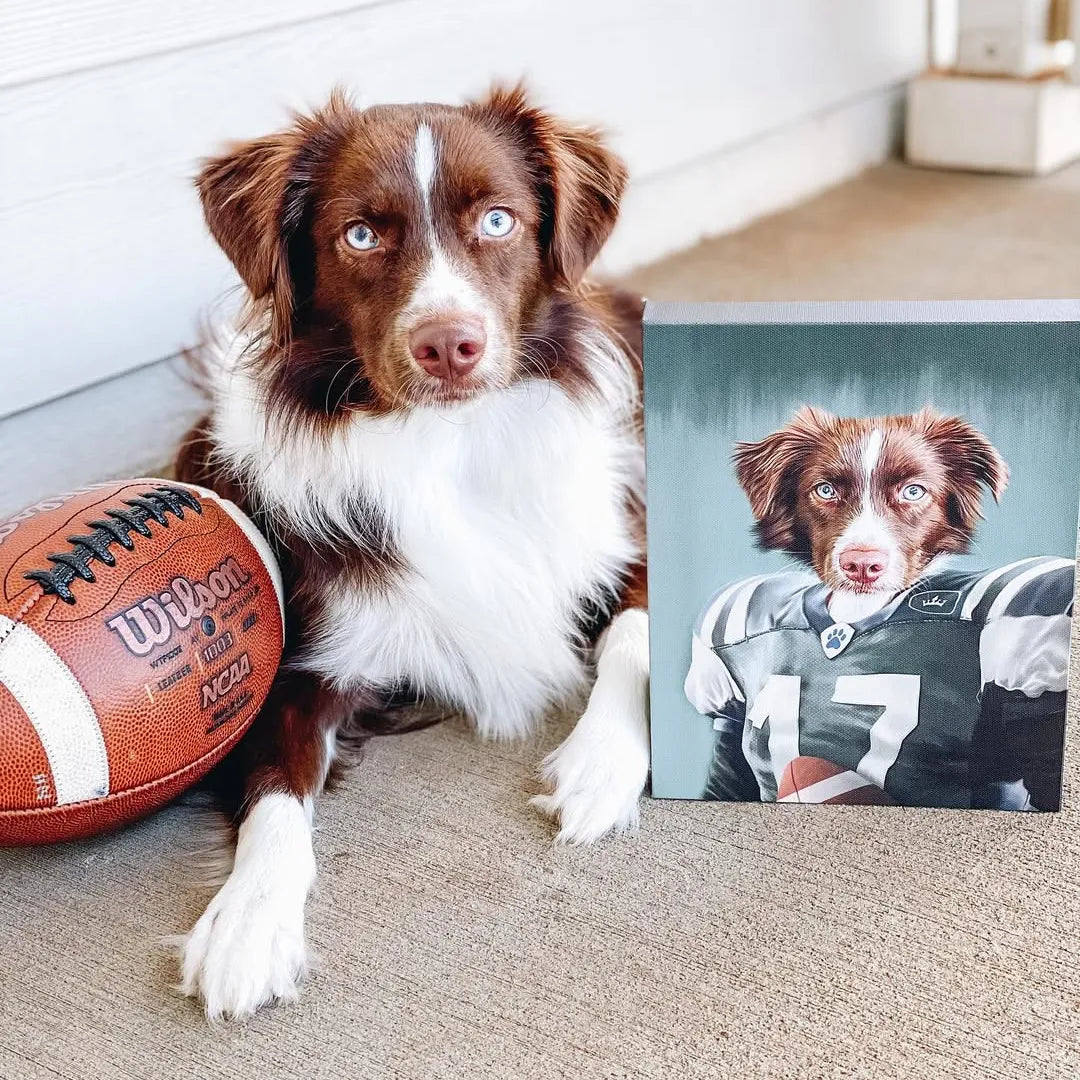 The Football Player - Custom Pet Canvas