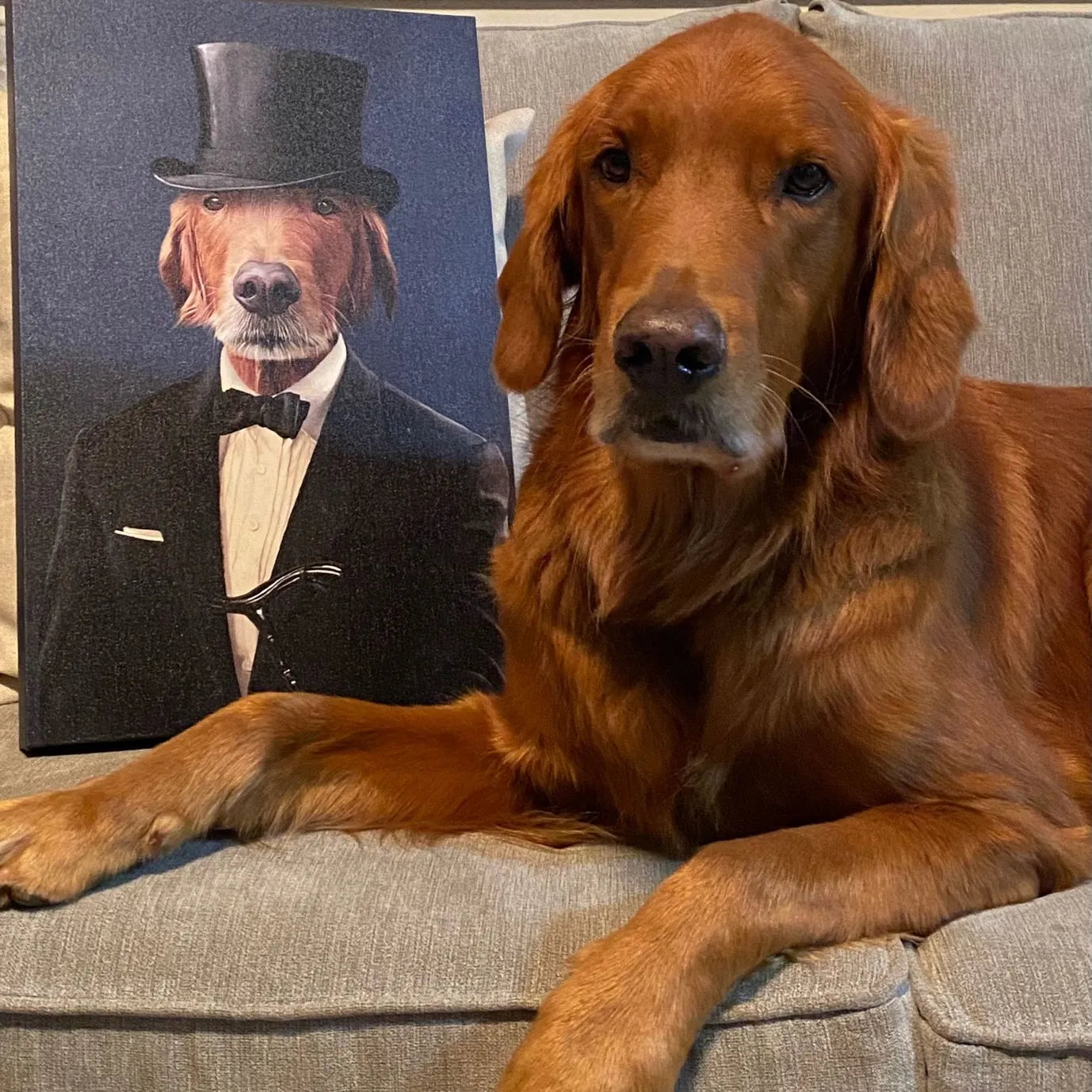 The Gentleman - Custom Pet Canvas