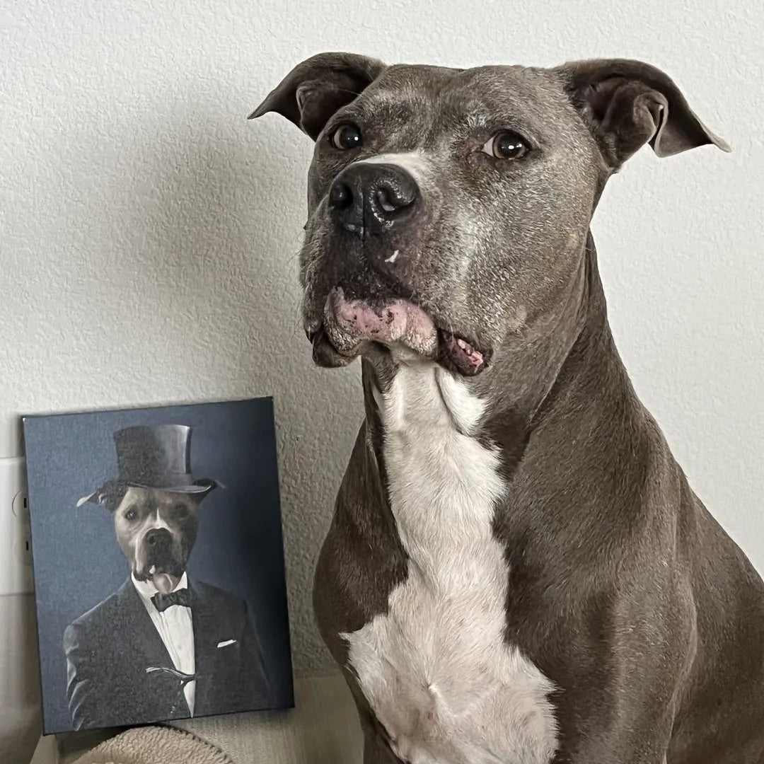 The Gentleman - Custom Pet Canvas
