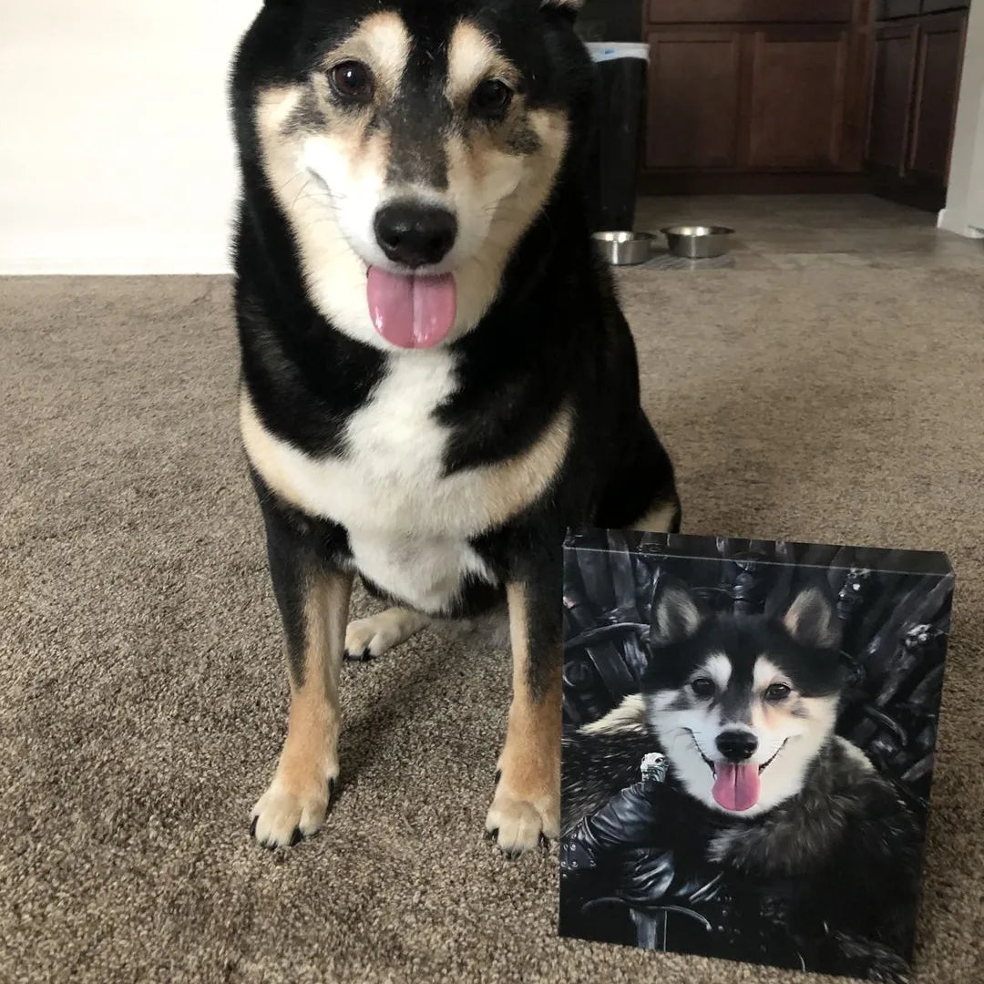 The King in the North - Custom Pet Canvas