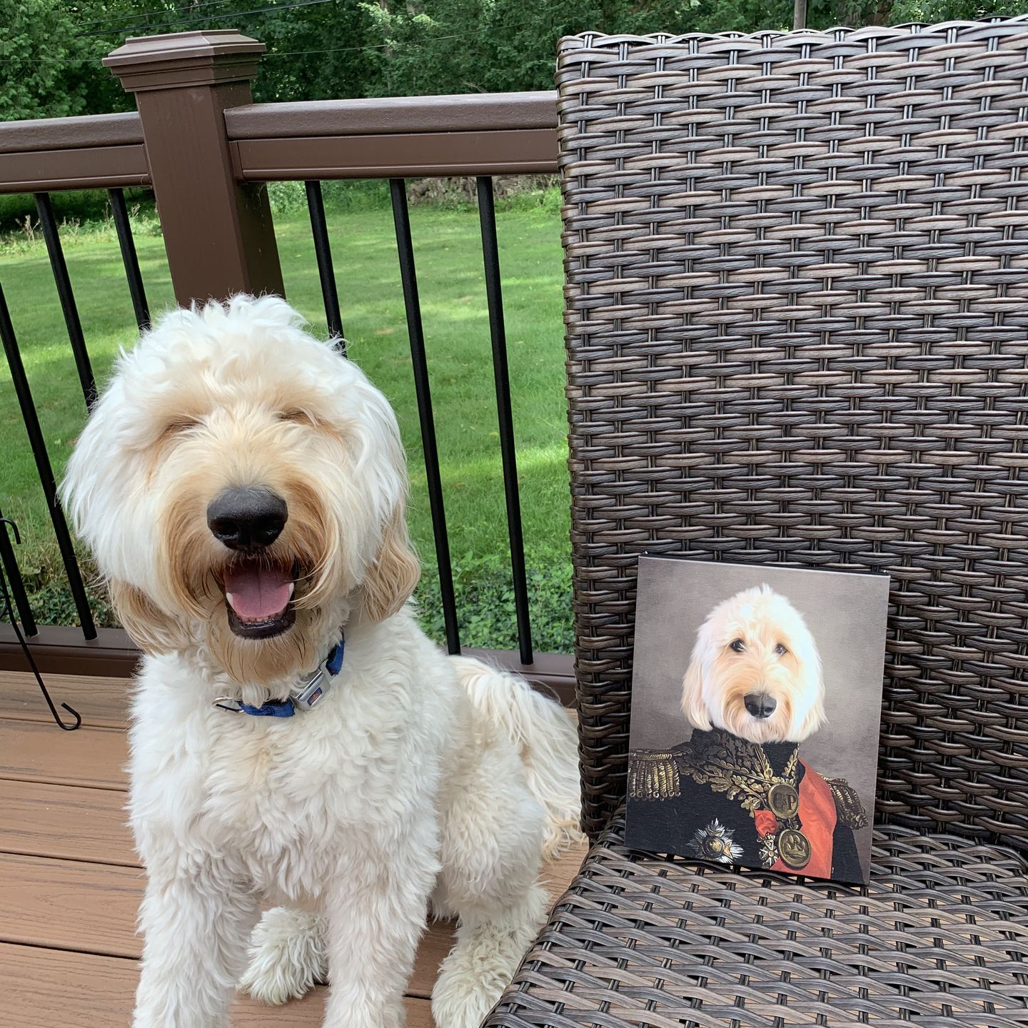 The Major - Custom Pet Canvas