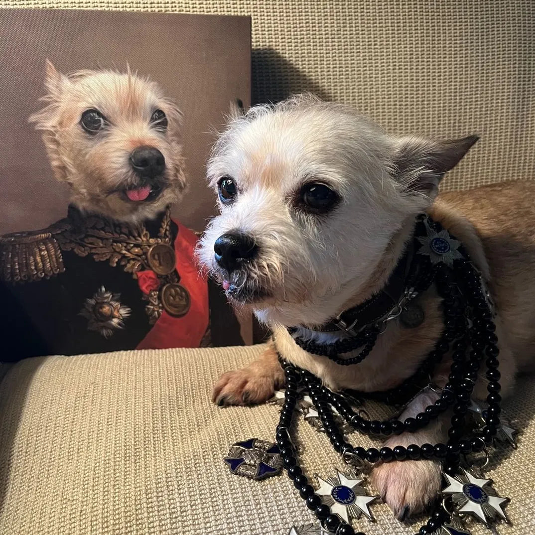 The Major - Custom Pet Canvas
