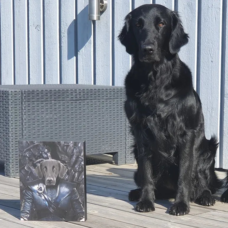 The Mother Of Dragons - Custom Pet Canvas