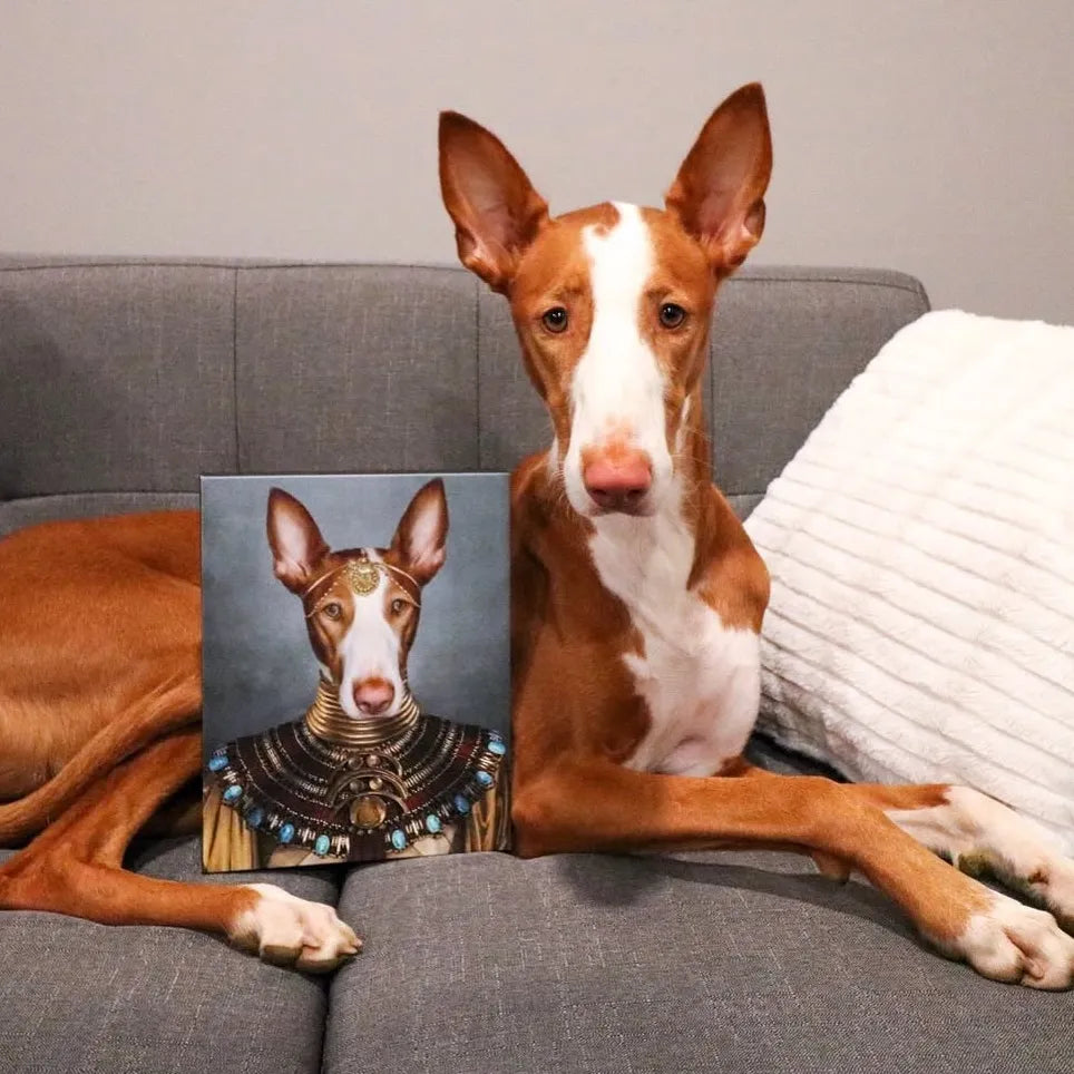 The Nubian Queen - Custom Pet Canvas