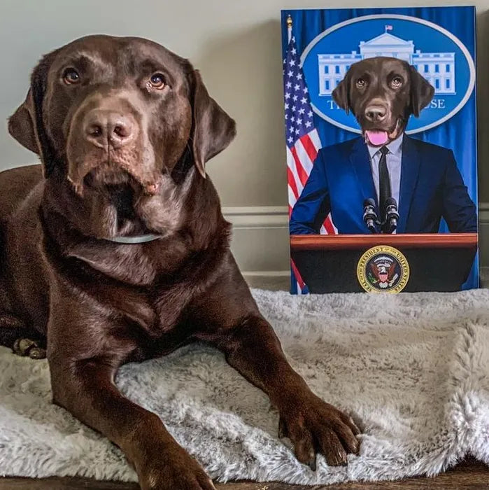 The Pawresident - Custom Pet Canvas