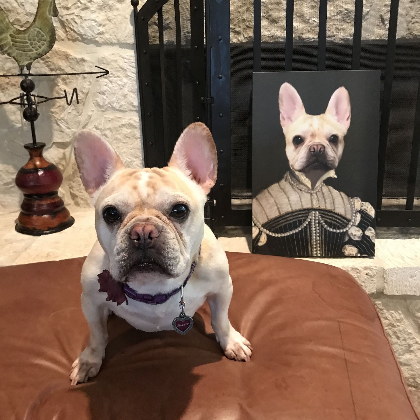 The Pearled Lady - Custom Pet Canvas