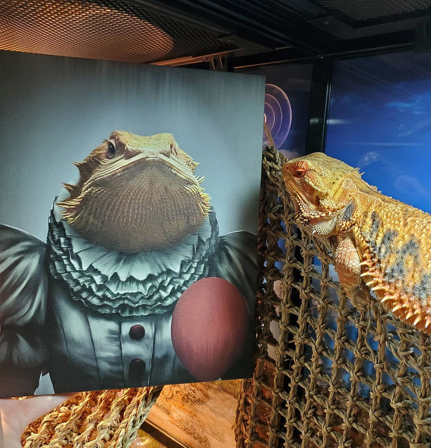 The Pennywise - Custom Pet Canvas