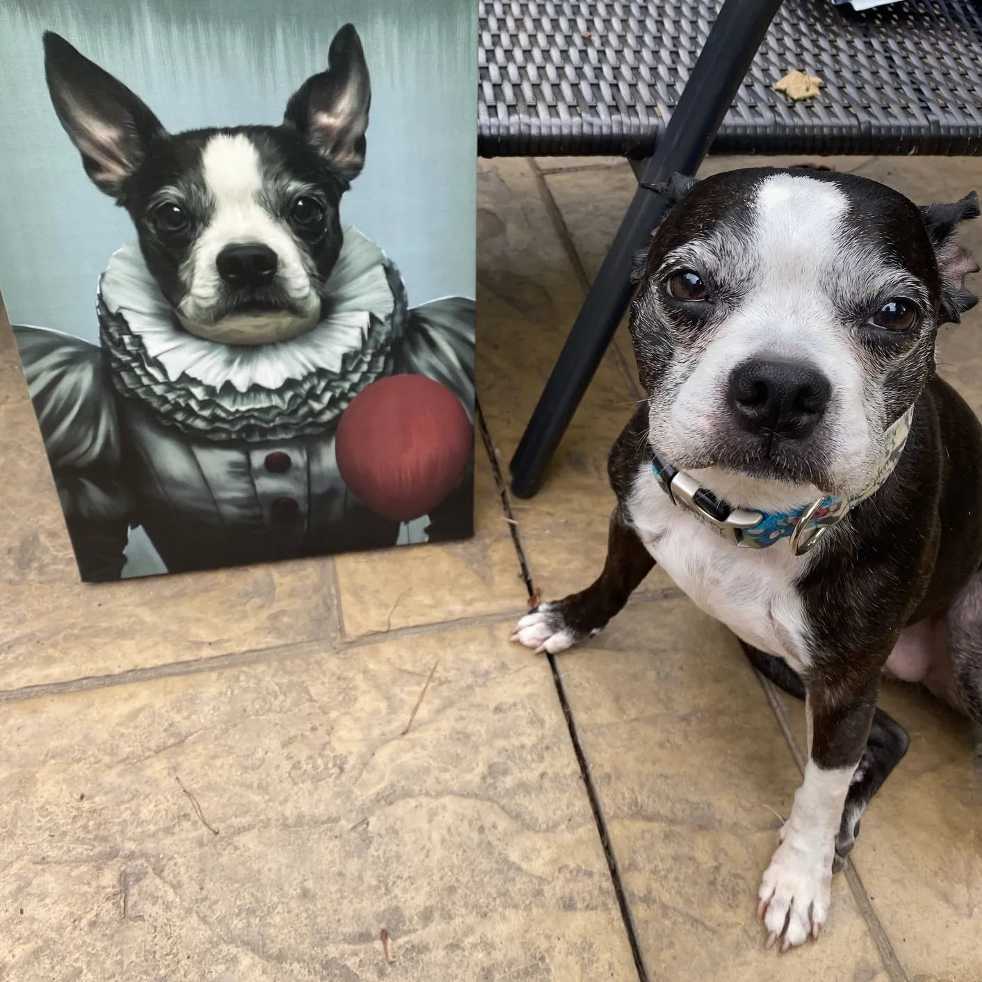 The Pennywise - Custom Pet Canvas