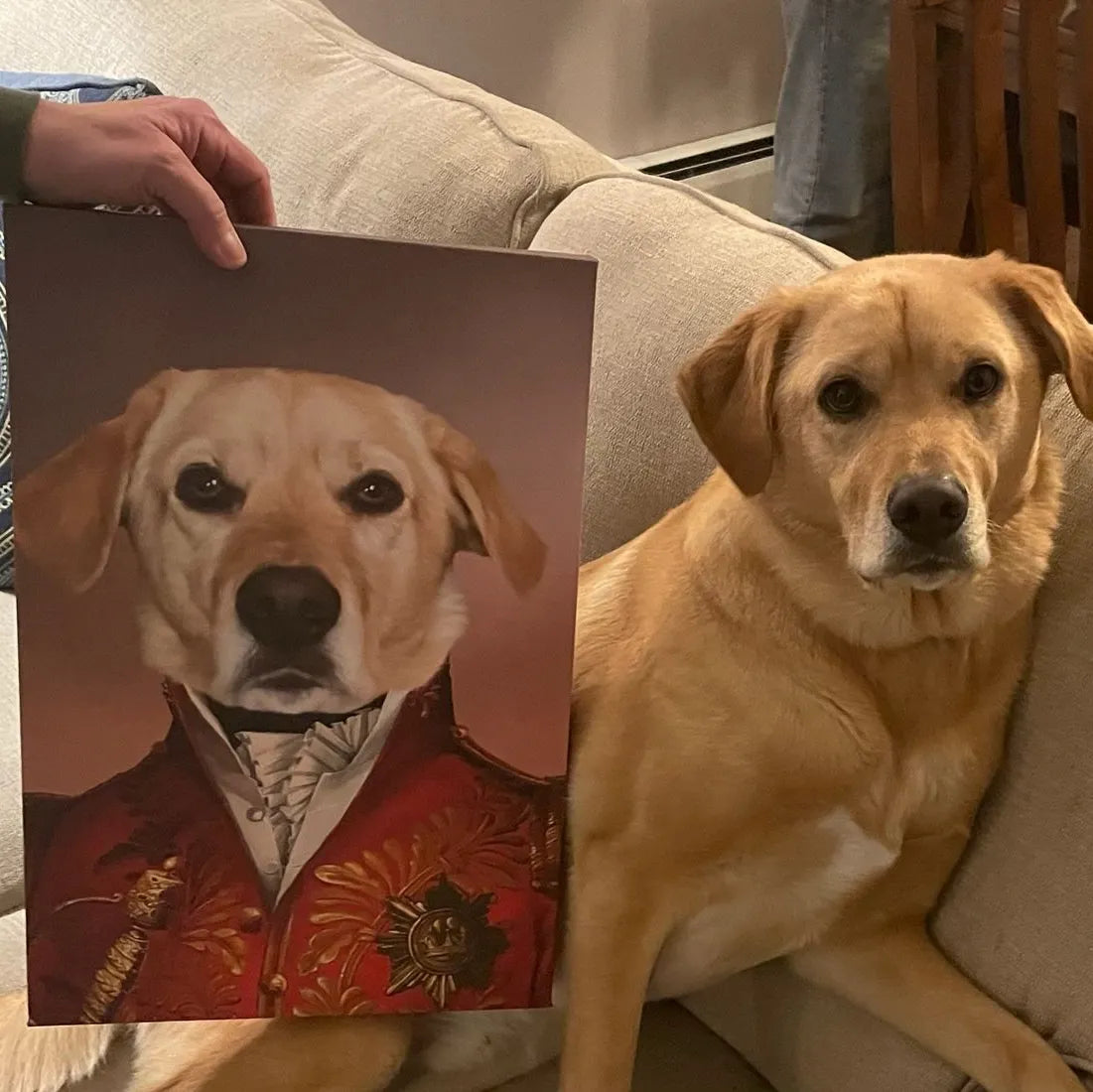 The Red General - Custom Pet Canvas